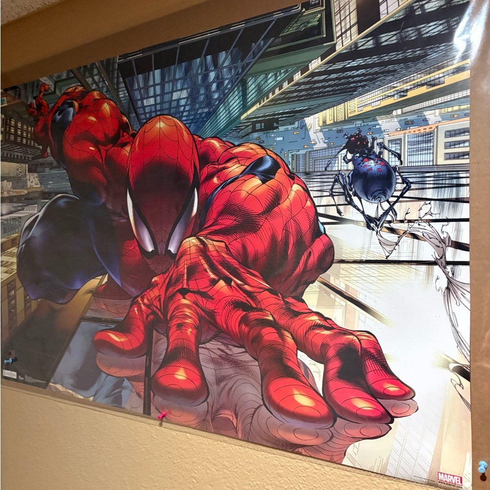 Marvel Spider-Man Dynamic Red and Black Tapestry